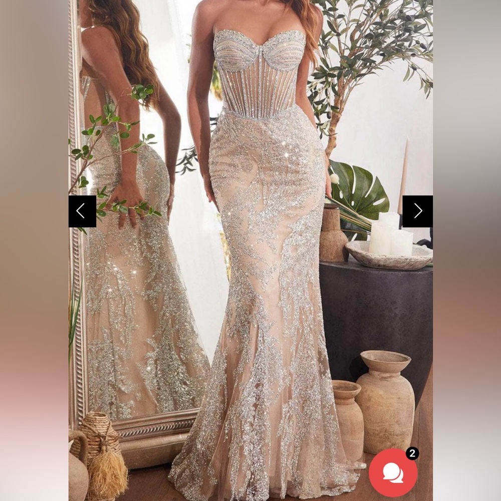 Elegant Strapless Silver Gown